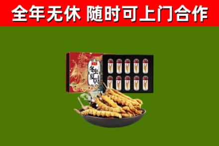 河曲烟酒回收冬虫夏草礼盒.jpg
