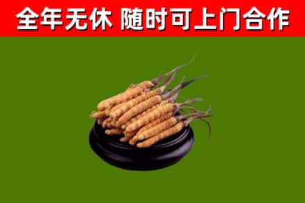 河曲烟酒回收冬虫夏草.jpg